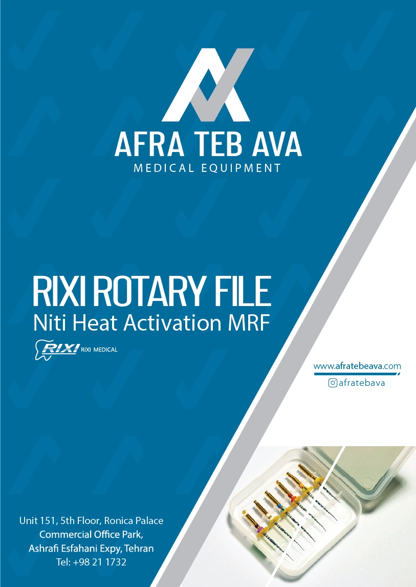 Rixi rotary file